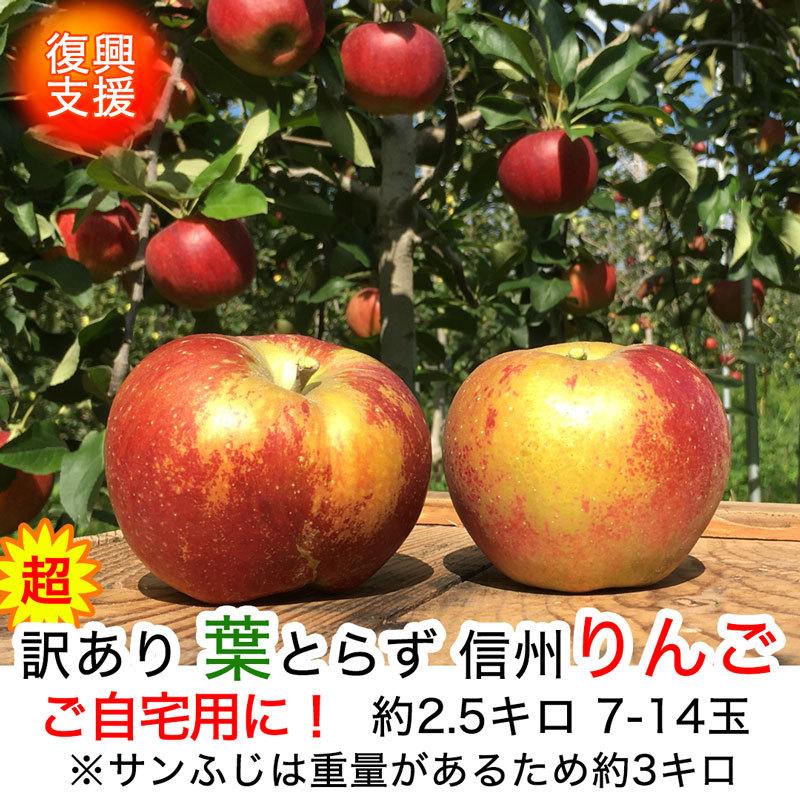 超訳あり】信州りんご 約2.5kg およそ7-14玉 復興支援 葉とらず 傷サビあり 減農薬 長野県産 産地直送 #NAZ0C025 :ringo-c-3k:フルプロ - 通販 - Yahoo!ショッピング 超訳あり】信州りんご 約2.5kg およそ7-14玉 復興支援 葉とらず 傷サビあり 減農薬 長野県産 産地直送 #NAZ0C025 :ringo-c-3k:フルプロ - 通販 - Yahoo!ショッピング