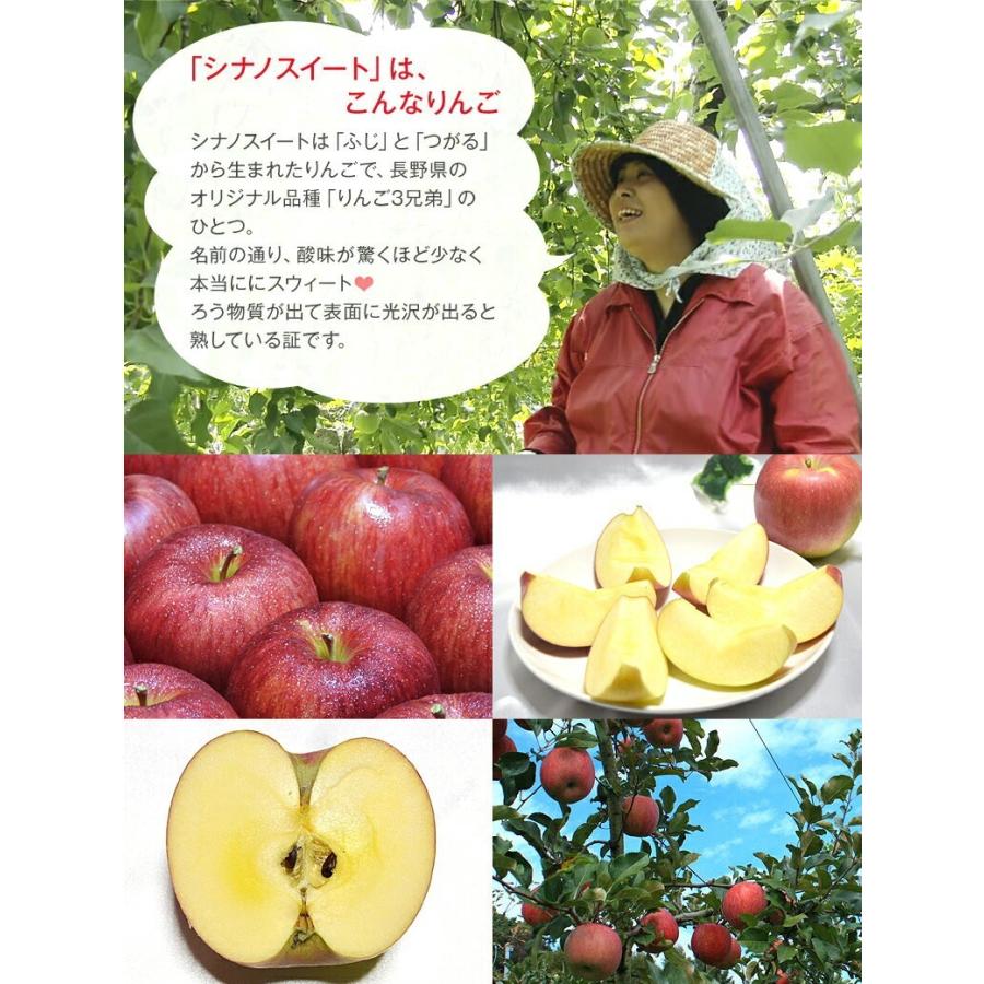 超訳あり】信州りんご 約2.5kg およそ7-14玉 復興支援 葉とらず 傷サビあり 減農薬 長野県産 産地直送 #NAZ0C025 :ringo-c-3k:フルプロ - 通販 - Yahoo!ショッピング 超訳あり】信州りんご 約2.5kg およそ7-14玉 復興支援 葉とらず 傷サビあり 減農薬 長野県産 産地直送 #NAZ0C025 :ringo-c-3k:フルプロ - 通販 - Yahoo!ショッピング