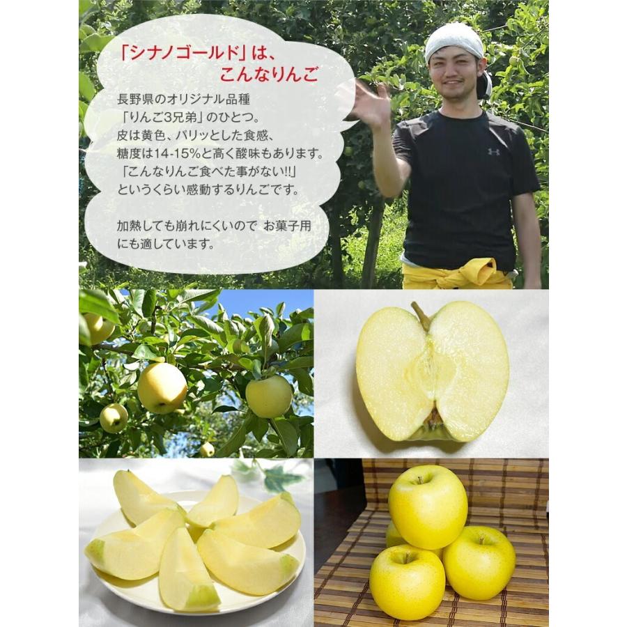 超訳あり】信州りんご 約2.5kg およそ7-14玉 復興支援 葉とらず 傷サビあり 減農薬 長野県産 産地直送 #NAZ0C025 :ringo-c-3k:フルプロ - 通販 - Yahoo!ショッピング 超訳あり】信州りんご 約2.5kg およそ7-14玉 復興支援 葉とらず 傷サビあり 減農薬 長野県産 産地直送 #NAZ0C025 :ringo-c-3k:フルプロ - 通販 - Yahoo!ショッピング