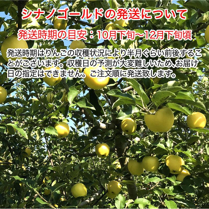 訳あり】シナノゴールド 約4.5kg 12-25玉 11月上旬頃発送開始予定 家庭