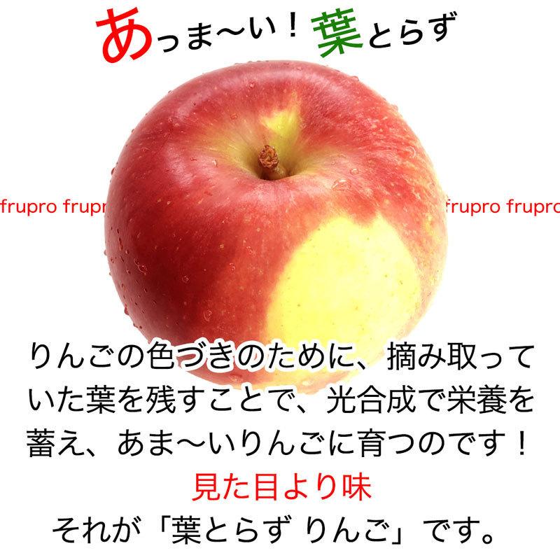 超訳あり】シナノゴールド 約2.5kg およそ7-14玉 家庭用 葉とらず 信州りんご 減農薬 長野県産 産地直送 送料無料 11月上旬より #NAG0C025 :shinanogold-c-3k:フルプロ - 通販 - Yahoo!ショッピング 超訳あり】シナノゴールド 約2.5kg およそ7-14玉 家庭用 葉とらず 信州りんご 減農薬 長野県産 産地直送 送料無料 11月上旬より #NAG0C025 :shinanogold-c-3k:フルプロ - 通販 - Yahoo!ショッピング