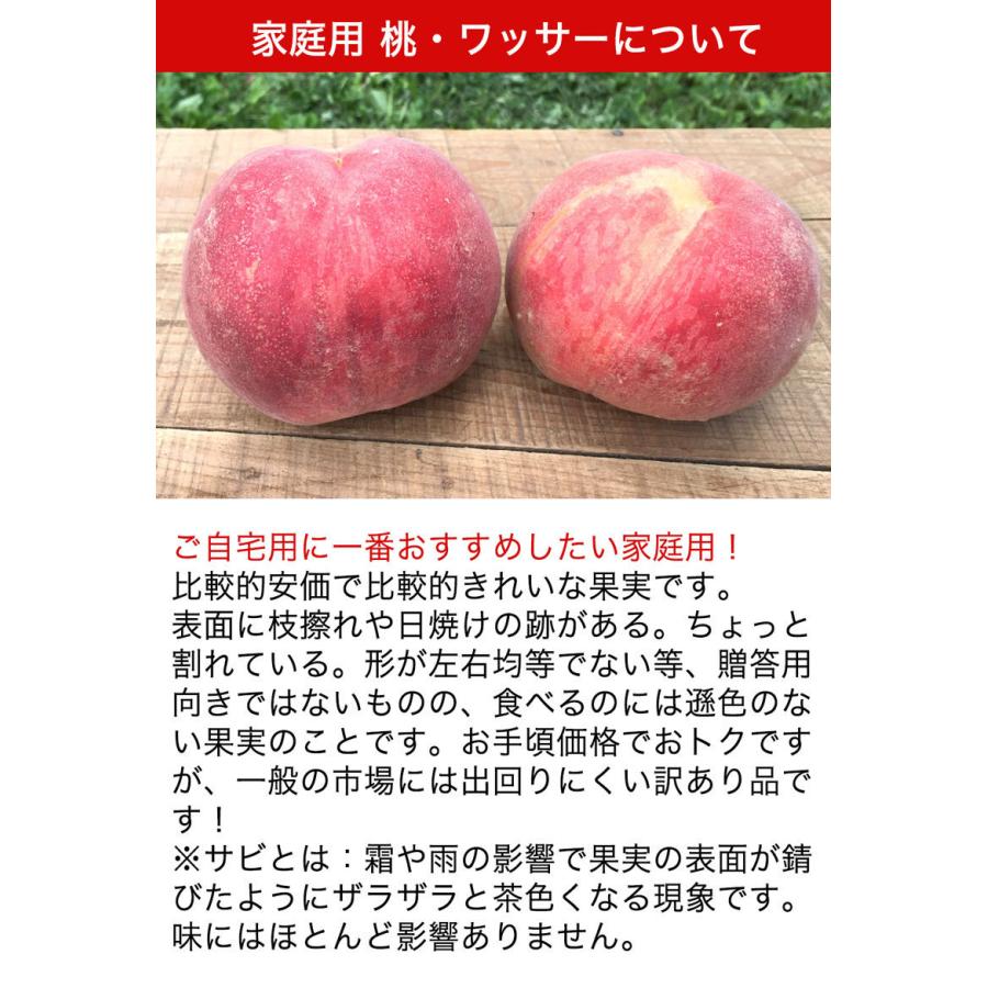 訳あり】ワッサー 約2.5kg(5-14玉) 家庭用 8月上旬頃発送予定 酸味の