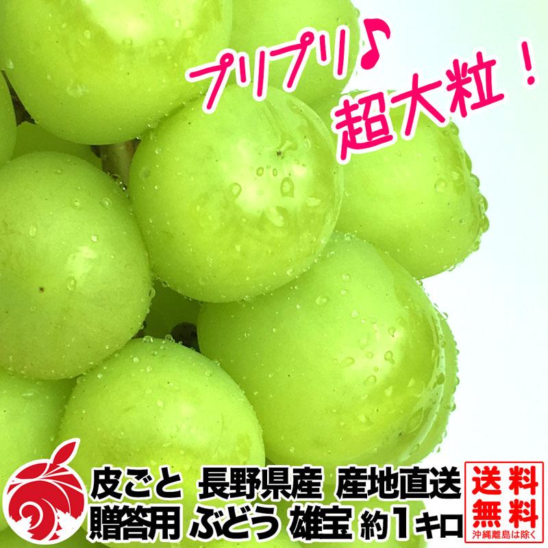 9月下旬より 贈答用 ぶどう 雄宝 ゆうほう 1 2房 1000g以上 等級a 種無し 皮ごと 送料無料 産地直送 ブドウ 葡萄 Yuuhou A1k フルプロ 通販 Yahoo ショッピング