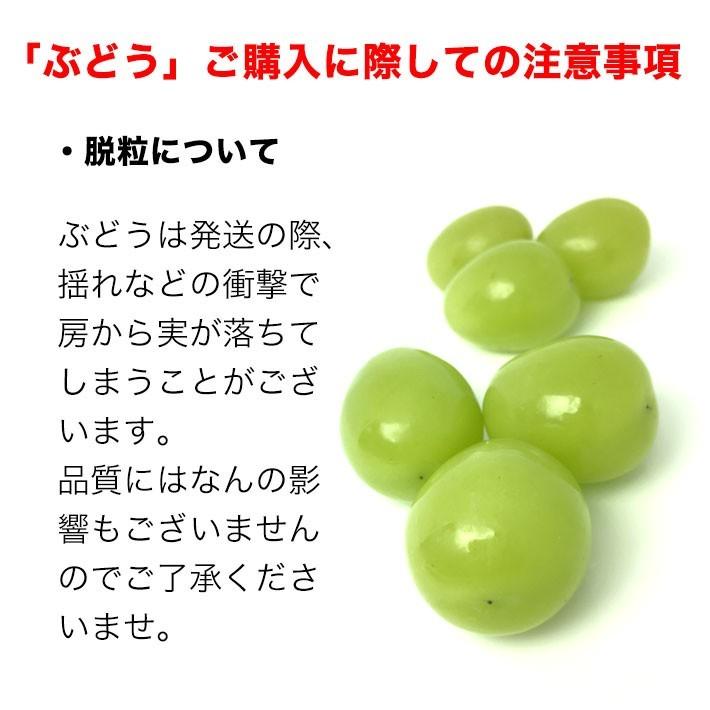 9月下旬より 贈答用 ぶどう 雄宝 ゆうほう 1 2房 1000g以上 等級a 種無し 皮ごと 送料無料 産地直送 ブドウ 葡萄 Yuuhou A1k フルプロ 通販 Yahoo ショッピング