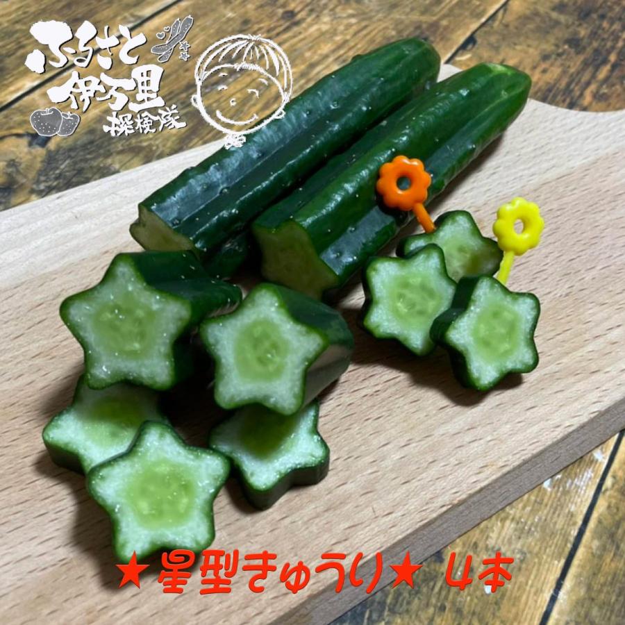 きゅうり 星型 七夕 きらきらぼし 子供 野菜嫌い 克服 お弁当 誕生日 料理