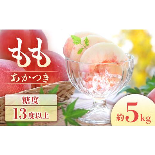 ふるさと納税 もも 長野県 豊丘村  2026年発送先行予約 桃 あかつき 約5kg 2026年7月下旬〜8月初旬発送予定 もも｜モモ｜10〜18玉｜フルーツ｜果物｜長野県｜… | 