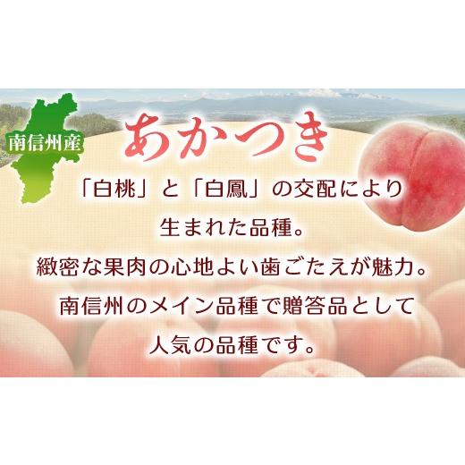 ふるさと納税 もも 長野県 豊丘村  2026年発送先行予約 桃 あかつき 約5kg 2026年7月下旬〜8月初旬発送予定 もも｜モモ｜10〜18玉｜フルーツ｜果物｜長野県｜… |  | 02