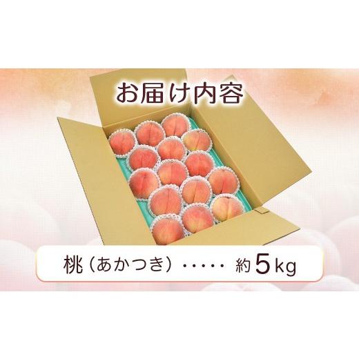 ふるさと納税 もも 長野県 豊丘村  2026年発送先行予約 桃 あかつき 約5kg 2026年7月下旬〜8月初旬発送予定 もも｜モモ｜10〜18玉｜フルーツ｜果物｜長野県｜… |  | 06