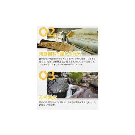 ふるさと納税 卵（鶏、烏骨鶏等） 和歌山県 九度山町 アルカリ化 玉子 紀州地養卵 合計 40個入 (30個＋割れ補償分10個）卵 たまご タマゴ 鶏卵 卵かけご… : ふるさとチョイス - 通販 - Yahoo!ショッピング