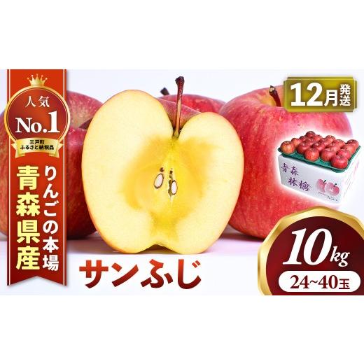 ふるさと納税 りんご 青森県 三戸町 りんご サンふじ 約10kg(24〜40玉) 2026年産・先行予約 2026年12月上旬〜12月中旬頃発送予定 青森県三戸町産 りんご 林…