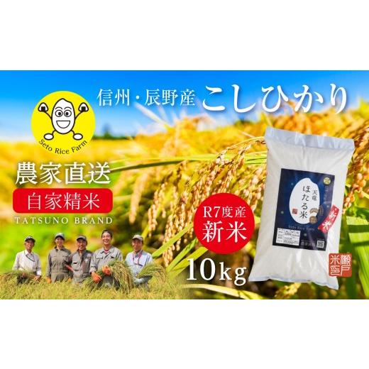 ふるさと納税 米 コシヒカリ 長野県 辰野町 R7新米 精米直後の新鮮なお