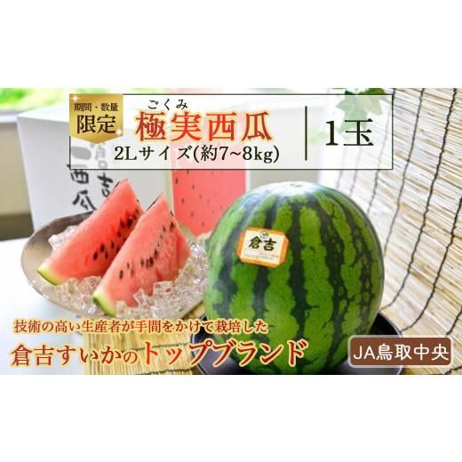 ふるさと納税 スイカ 鳥取県 倉吉市 極実西瓜1玉 2L JA鳥取中央 すいか 鳥取 果物 フルーツ スイカ 数量限定 期間限定