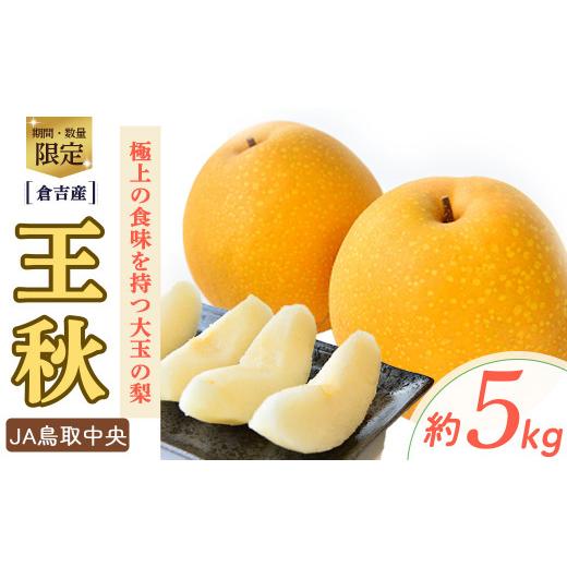 ふるさと納税 梨 鳥取県 倉吉市 王秋 倉吉産 5kg(JA鳥取中央) 梨 なし ナシ おうしゅう 王秋 ブランド梨 鳥取 5kg 果物 フルーツ 和梨 先行予約 数量限定 詰…