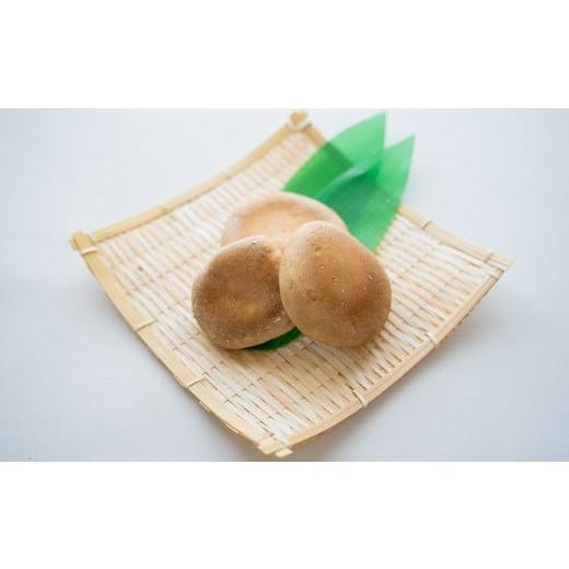 ふるさと納税 山菜・きのこ 埼玉県 横瀬町 原木しいたけ詰め合わせセット(1.3kg)〜「日本農業賞」大賞受賞の農園〜 秩父 横瀬町 しいたけ 椎茸 シイタケ 原…