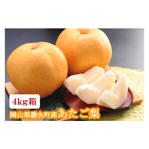 ふるさと納税 梨 岡山県 勝央町 岡山県 勝央町産 あたご梨 4kg箱(4〜5玉) 12月上旬発送 _A21