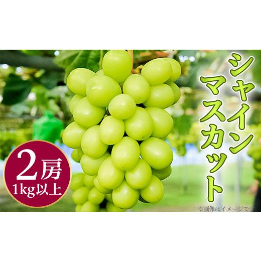 ふるさと納税 ぶどう マスカット 新潟県 聖籠町 シャインマスカット2房(1kg以上)