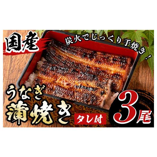 ふるさと納税 うなぎ 鹿児島県 湧水町 A01 国産 うなぎ蒲焼き(3尾・タレ付き) 国産 九州産 鹿児島県 宮崎県 鰻 ウナギ unagi うな重 うな丼 ひつまぶし うなじ…
