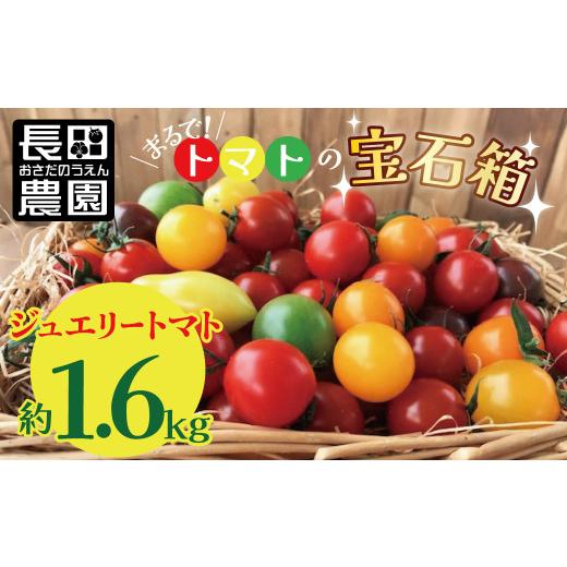 ふるさと納税 トマト ミニトマト 愛知県 碧南市 先行受付 2026年11月から発送 まるでトマトの宝石箱 フルーツジュエリートマト約1.6kg 長田農園 産地直送 ト…