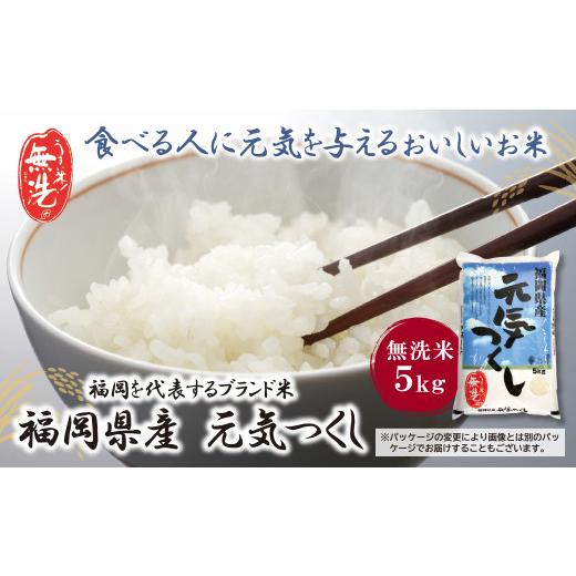 ふるさと納税 米 福岡県 福智町 W17-21 新米 令和7年産 無洗米 福岡県産・元気つくし5kg お米 米 こめ コメ ブランド米 白米 人気 おすすめ 無洗米 げんきつく…