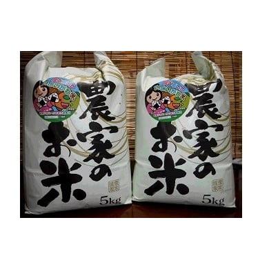 ふるさと納税 米 コシヒカリ 新潟県 糸魚川市 令和7年産 新潟県糸魚川産コシヒカリ 10kg 農家直送 大山農場 2025年産 減農薬 特別栽培米 米 コメ ブランド米 …