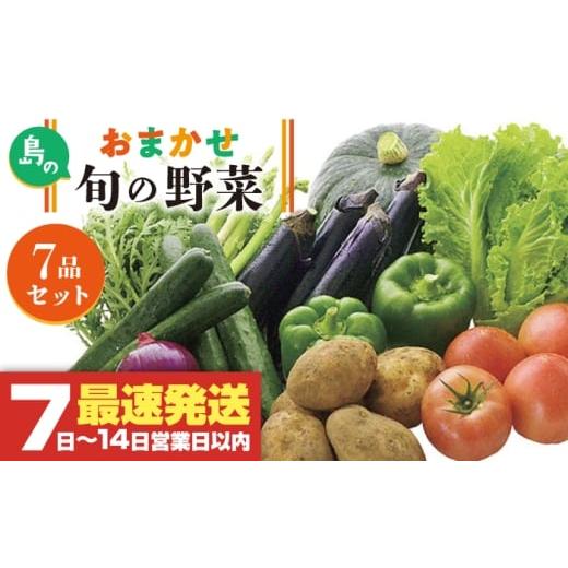 ふるさと納税 セット・詰合せ 長崎県 壱岐市 旬の野菜 7品セット 《壱岐市》 壱岐市農業協同組合 JBO001 野菜 ベジタブル 食材 詰め合わせ 産地直送 野菜セッ…の画像