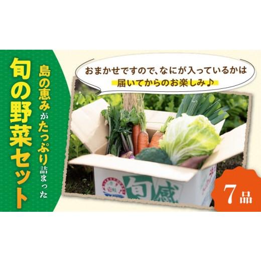 ふるさと納税 セット・詰合せ 長崎県 壱岐市 旬の野菜 7品セット 《壱岐市》 壱岐市農業協同組合 JBO001 野菜 ベジタブル 食材 詰め合わせ 産地直送 野菜セッ…の画像