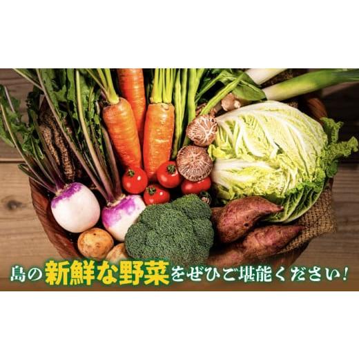 ふるさと納税 セット・詰合せ 長崎県 壱岐市 旬の野菜 7品セット 《壱岐市》 壱岐市農業協同組合 JBO001 野菜 ベジタブル 食材 詰め合わせ 産地直送 野菜セッ…の画像
