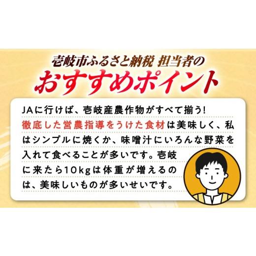 ふるさと納税 セット・詰合せ 長崎県 壱岐市 旬の野菜 7品セット 《壱岐市》 壱岐市農業協同組合 JBO001 野菜 ベジタブル 食材 詰め合わせ 産地直送 野菜セッ…の画像