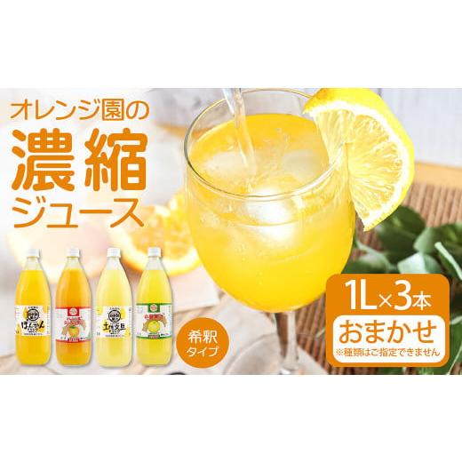 ふるさと納税 果汁飲料 みかん 高知県 土佐清水市 オレンジ園の濃縮ジュース 1L おまかせ3本入り 希釈用 みかんジュース チューハイ用 ドリンク ジュース 柑橘…