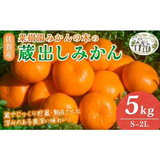 ふるさと納税 みかん・柑橘類 佐賀県 太良町 N-24 果樹園みかんの木の蔵出しみかん 5kg みかん ミカン 蜜柑 たらみかん 太良みかん 温州みかん 完熟みかん 甘…