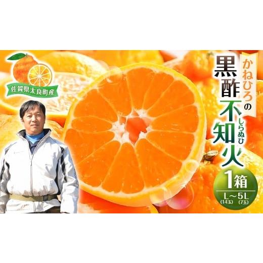 ふるさと納税 みかん・柑橘類 デコポン 佐賀県 太良町 かねひろの黒酢不知火 2026年3月上旬〜5月下旬まで順次発送予定 フルーツ 果物 柑橘 しらぬい 黒酢 みか…