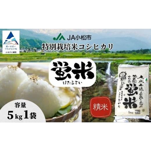 ふるさと納税 米 コシヒカリ 石川県 小松市 先行予約 令和8年産 「 特別栽培米コシヒカリ 」 精米 蛍米 5kg お米 おこめ 白米 こしひかり 石川県 小松市 JA小…