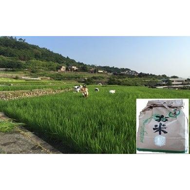 ふるさと納税 米 ヒノヒカリ 山梨県 富士川町 つきよね 棚田米(ヒノヒカリ) 10kg(5kg×2袋) ひのひかり お米 精米 米 舂米