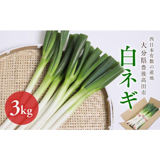 ふるさと納税 野菜類 ねぎ 大分県 豊後高田市 ネギ/先行予約 ネギ産地直送・新鮮 白ネギ(長ネギ) 3kg | ネギ 白ねぎ 長ネギ ねぎ ねぎ焼 ネギ料理 ねぎ鍋 …