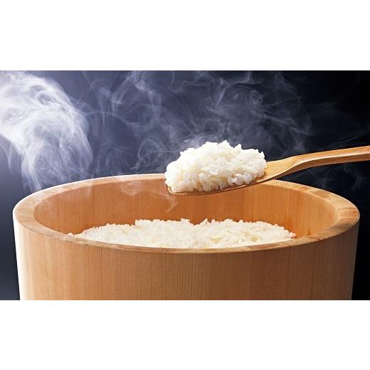 ふるさと納税 米 ヒノヒカリ 大分県 豊後高田市 自然の恵みたっぷり六郷米 10kg