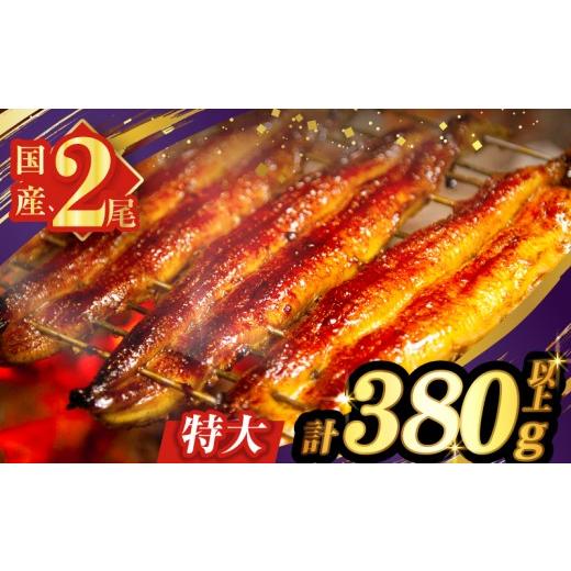 ふるさと納税 加工品等 宮崎県 都農町 2週間以内発送 うなぎ蒲焼特大2尾(さんしょう・たれ付き)計380g以上 鰻 魚 魚介 加工品 国産_T026-0065-2W 2尾 380g 2…