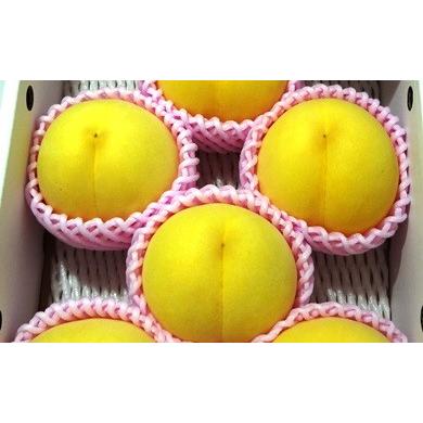 ふるさと納税 もも 山形県 天童市 08-07-009 もも(金桃・きららのきわみ)2.5kg