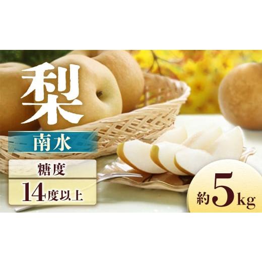 ふるさと納税 梨 長野県 豊丘村  2026年発送先行予約 梨　南水　約5kg 8〜16玉 2026年9月中旬〜10月初旬発送予定_1