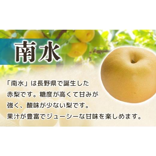 ふるさと納税 梨 長野県 豊丘村  2026年発送先行予約 梨　南水　約5kg 8〜16玉 2026年9月中旬〜10月初旬発送予定_2