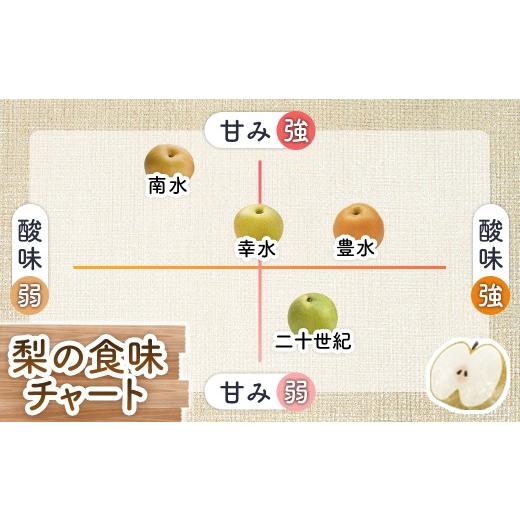 ふるさと納税 梨 長野県 豊丘村  2026年発送先行予約 梨　南水　約5kg 8〜16玉 2026年9月中旬〜10月初旬発送予定_3