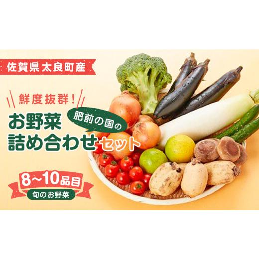 ふるさと納税 セット・詰合せ 佐賀県 太良町 肥前の国のお野菜詰め合わせセット（8〜10品目）| 野菜セット 旬 フレッシュ 鮮度抜群 8品 10品 チョイス 詰め合…_1