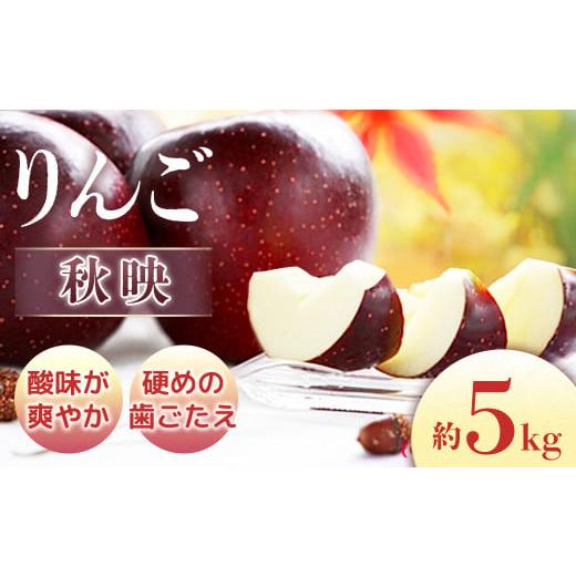 ふるさと納税 りんご 長野県 豊丘村 2026年発送先行予約 りんご 秋映 約5kg(10〜20玉入り) 2026年9月下旬〜10月上旬発送予定