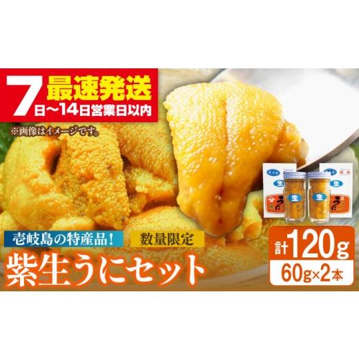 ふるさと納税 ウニ 長崎県 壱岐市 瓶詰め 紫生うに 120g（60g×2本