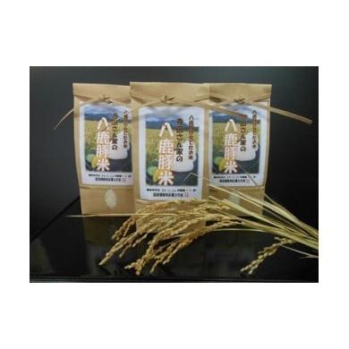 ふるさと納税 米 兵庫県 養父市 寺田さん家の八鹿豚米 精米 コメ 米 こめ 新米 減農薬 令和7年