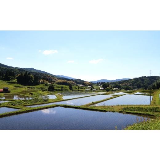 ふるさと納税 無洗米 島根県 安来市 BG無洗米コシヒカリ 5kg×6ヵ月 定期便 毎月 令和7年産 愛を米 時短 6ヶ月 半年 計30kg こしひかり 島根県産 新生活応援 … |  | 05