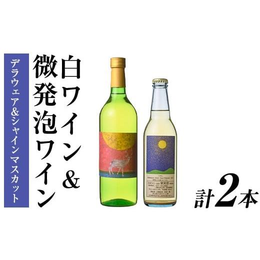 ふるさと納税 ワイン セット 大分県 宇佐市 白ワイン & 微発泡デラウェア&シャインマスカット(合計1.05L・2本)ワイン 白ワイン 酒 お酒 甘口 甘口ワイン ア…