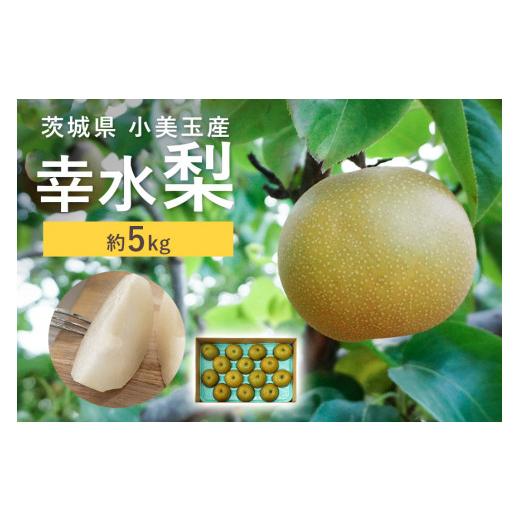 ふるさと納税 梨 茨城県 小美玉市 数量限定 / 夏季限定 梨(幸水) 約5kg 梨 なし ナシ 日本梨 こうすい コウスイ 17-C 8月中旬〜下旬発送予定