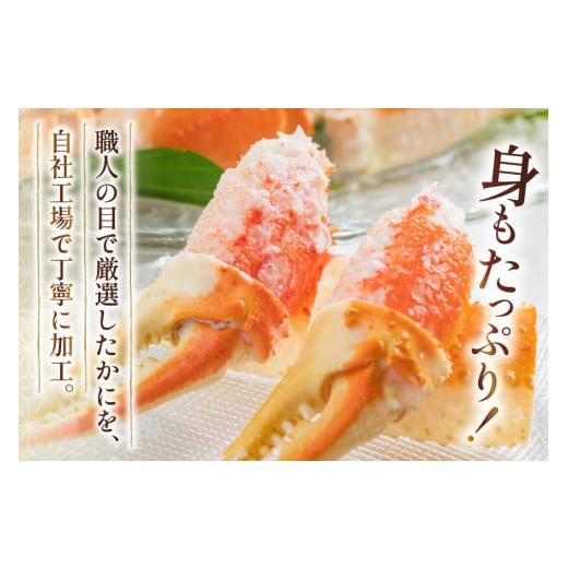 ふるさと納税 カニ セット 長崎県 島原市 GA071 今晩はかに祭り 家族みんなが喜ぶ かに三昧セット ズワイツメ・たらば・ズワイ（ボイル・カット済み） 長崎県 …の画像