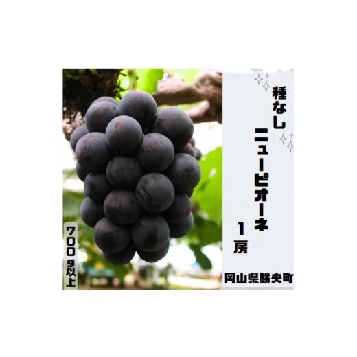 ふるさと納税 果物類 ぶどう 岡山県 勝央町 岡山県 勝央町産 ニューピオーネ 700g以上(1房) 7月中旬から7月下旬発送 _A4