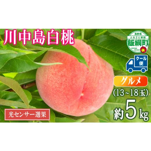 ふるさと納税 もも 長野県 飯綱町 2026年 先行予約 桃 川中島白桃 5kg グルメ 光センサー選別品 糖度保証 予約 果物 くだもの もも モモ フルーツ 旬 長野 信…